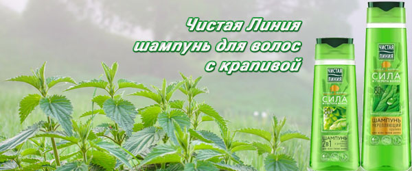Новинка: Чистая Линия шампунь для волос с крапивой